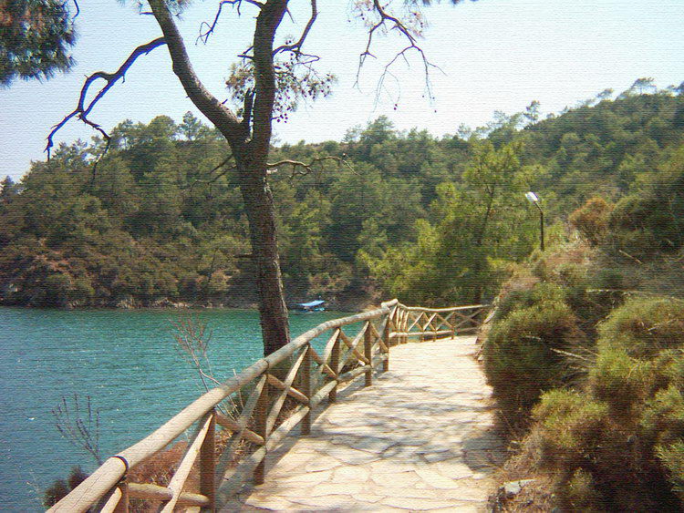 Fethiye Katranci [Deniz orabatr]